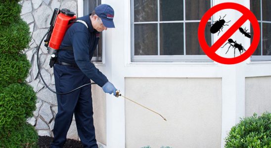 Ayvalık Hamam Böceği İlaçlama böcek ilaçlama ve haşere kontrolü — ilaclama-tr.com